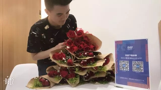 65513.jpg